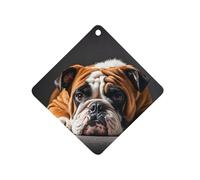 A Sad Bulldog Désodorisant de voiture à suspendre, tablettes d'aromathérapie de voiture parfumées longue durée, cartes parfumées au losange pour véhicules, chambre à coucher, armoire, style gris