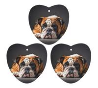 A Sad Bulldog Lot de 3 désodorisants à suspendre pour voiture, maison, bureau, style gris