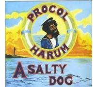 A Salty Dog