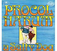 A Salty Dog (DE) [Import]