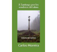A Santiago por los senderos del alma: Dolores del Camino