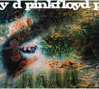 A Saucerful Of Secrets CD