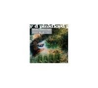 Pink Floyd – A Saucerful of Secrets – Édition RSD 2019 (Mono, Remasterisé 2019)
