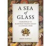 A Sea of Glass: Searching for the Blaschkas' Fragile Legacy in an Ocean at Risk