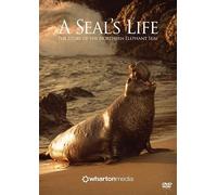 A Seal's Life - The Story Of The Northern Elephant Seal