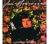 A SENSE OF WONDER LP UK MERCURY 1984 10 TRACK WITH INNER (MERH54)