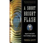 A Short Bright Flash by Theresa Levitt Paperback Book Theresa Levitt (Auteur)