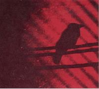 A Silver Mt. Zion - Born Into Trouble As the Sparks Fly Upward [New Vinyl LP]