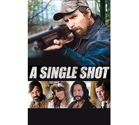 A Single Shot [DVD] [2013]