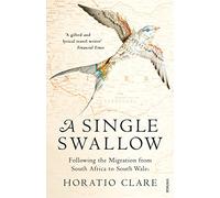 A Single Swallow: Following An Epic Journey From South Africa To South Wales