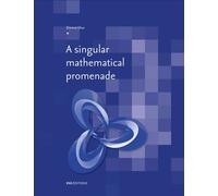 A singular mathematical promenade - Etienne Ghys - Ens Lyon-Inrp - broché - Essai