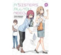 A Sister's All You Need., Vol. 13 (light novel)
