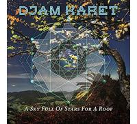 A Sky Full Of Stars For A Roof