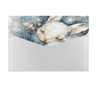 A Sleeping Rabbit Accordéon Organiseur de documents 6 poches Dossier extensible Dossier accordéon Dossier accordéon avec étiquettes, dossiers de documents de voyage Enveloppes en plastique avec