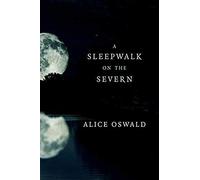 A Sleepwalk On The Severn
