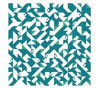 A Small Fish in the Water [Import allemand]