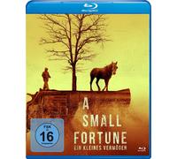 A Small Fortune - Ein kleines Vermögen (Blu-ray) Liane Balaban Joel Thomas Hynes