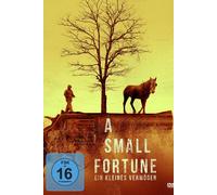 A Small Fortune - Ein kleines Vermögen (DVD) Liane Balaban Joel Thomas Hynes