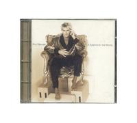 Rod Stewart – A Spanner in the Works – CD d'occasion – Warner Bros.