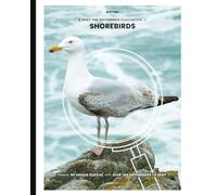 A Spot the Difference Photobook of Shorebirds