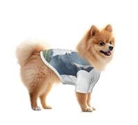 A Stone Falling from the Sky Chemise en maille légère et respirante à séchage rapide extensible pour petits chiens
