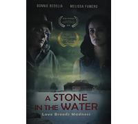 A Stone in The Water