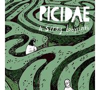 Broken Silence – A Stray Labyrinth