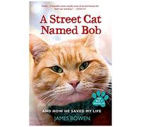 A Street Cat Named Bob And How He Saved My Life