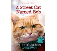 A Street Cat Named Bob And How He Saved My Life
