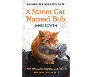 A Street Cat Named Bob: How one man and his cat found hope on the streets