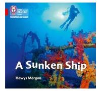 A Sunken Ship by Hawys Morgan Hawys Morgan (Auteur)
