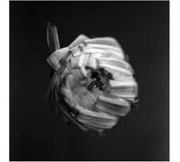 A Swarm of the Sun An Empire (Vinyl) 12" Album