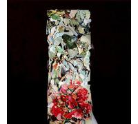 A Taller Us [Import Allemand]