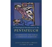 A Theological Introduction To The P by Briggs Briggs (Auteur)