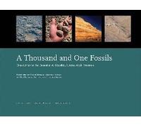 A Thousand And One Fossils - Discoveries In The Desert At Al Gharboa, United Arab Emirates