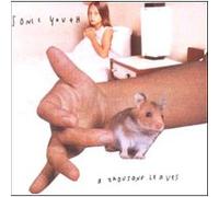 Sonic Youth – A Thousand Leaves – CD