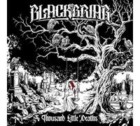 A Thousand Little Deaths