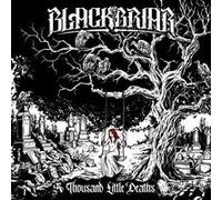 A Thousand Little Deaths