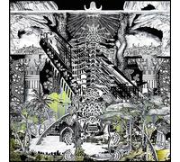 A Time Between Birth and Chaos