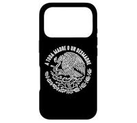 A Toda Madre O Un Desmadre Chicano Mexican Pride Mexico Coque pour iPhone 17 Pro