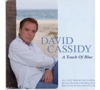A Touch Of Blue by David Cassidy (2003-10-21)