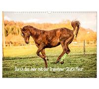 A travers l'année avec la jument trakehner Fleur, Version française (Calendrier mural 2026 DIN A3 portrait), Calendrier CALVENDO mensuel
