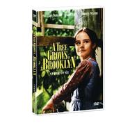 A Tree Grows In Brooklyn (1945) All Region DVD (Region 1,2,3,4,5,6 Compatible) by Dorothy McGuire