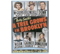 A Tree Grows in Brooklyn [Import anglais]