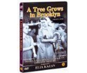 A Tree Grows In Brooklyn.Region 0 import~James Dunn-Dorathy McGuire-directed by Elia Kazan