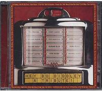 A Tribute To Bo Diddley