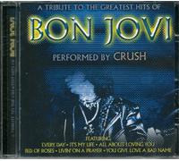 A Tribute to Bon Jovi [Import]