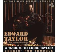 Tribute to Eddie Taylor-Lookin' for Trouble