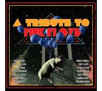 Various Artists – A Tribute to Pink Floyd – CD + DVD – Import