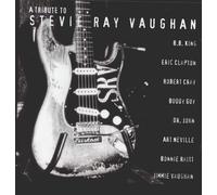 A Tribute To Stevie Ray Vaughan Bonnie Raitt